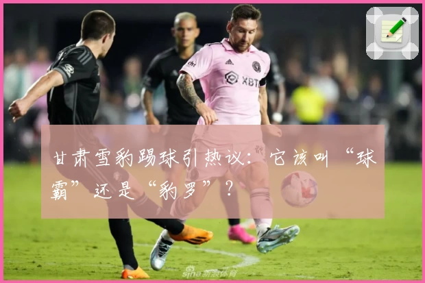 甘肃雪豹踢球引热议：它该叫“球霸”还是“豹罗”？