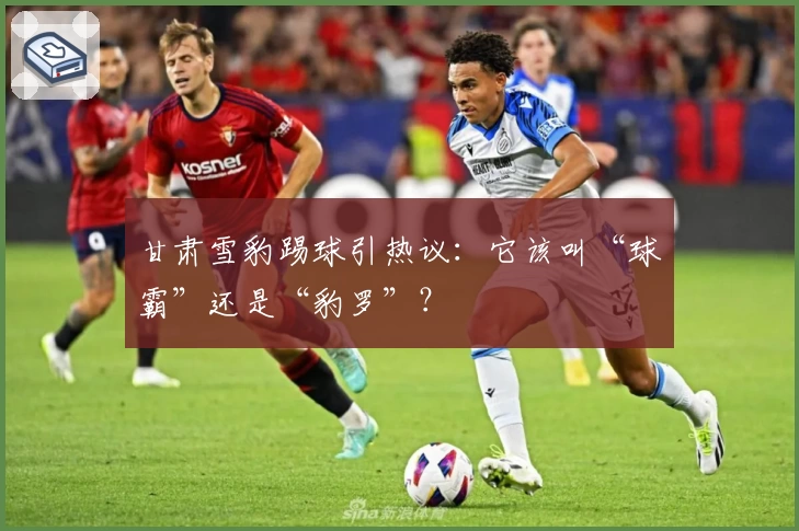 甘肃雪豹踢球引热议：它该叫“球霸”还是“豹罗”？